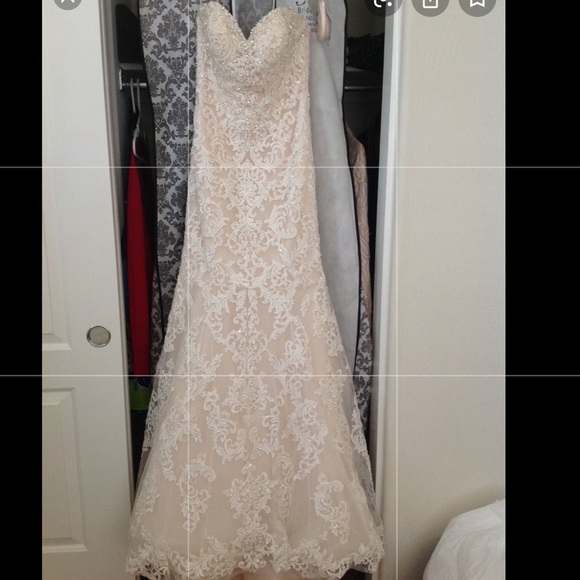 NWT SOTTERO and MIDGLEY Ivory/Nude Wedding Dress - Picture 7 of 17